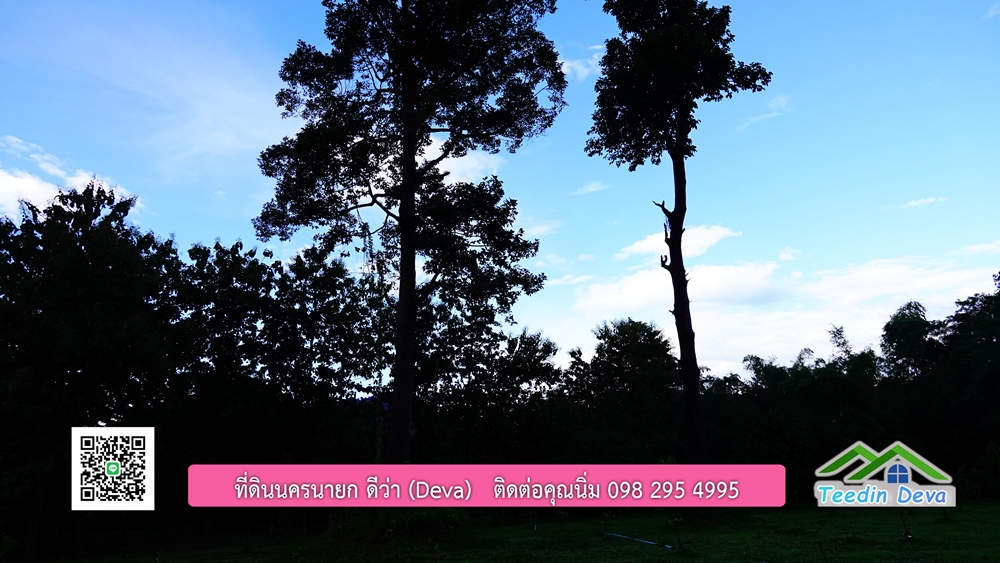 (ðī āļāļīāļāļāļēāļĢāļāļēāļĒ) āļāļĩāđāļāļīāļāļāļāļĢāļāļēāļĒāļ āļāļīāļāļĨāļģāļāļēāļĢ āļāļĨāļđāļāļāļĨāđāļĄāđ 8 āđāļĢāđ 2 āļāļēāļ āļ.āļŠāļēāļĢāļīāļāļē āļ.āđāļĄāļ·āļāļ āļ.āļāļāļĢāļāļēāļĒāļ