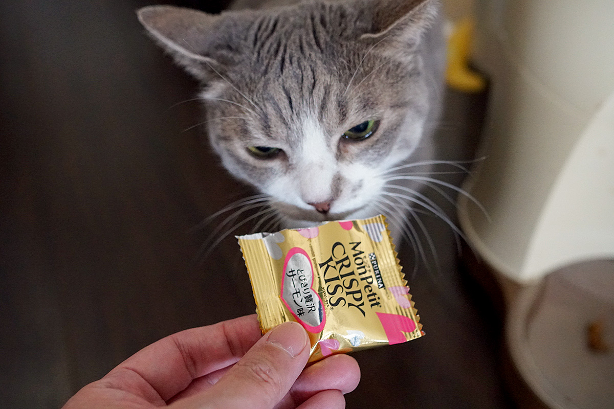 [ของแท้จากญี่ปุ่น🇯🇵] MonPetit Crispy Kiss Cat Treats Variety Pack ขนมแมวพรีเมียมคริสปี้คิส ยอดนิยม