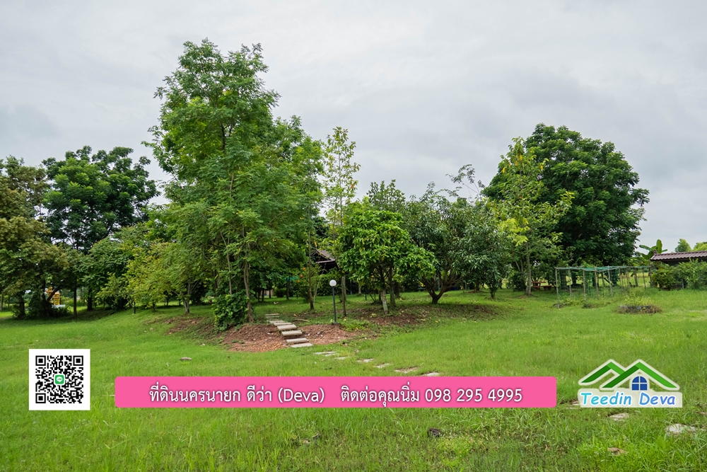 ขายบ้านสวน กลางนา วิวเขาใหญ่ ต.สาริกา อ.เมือง จ.นครนายก