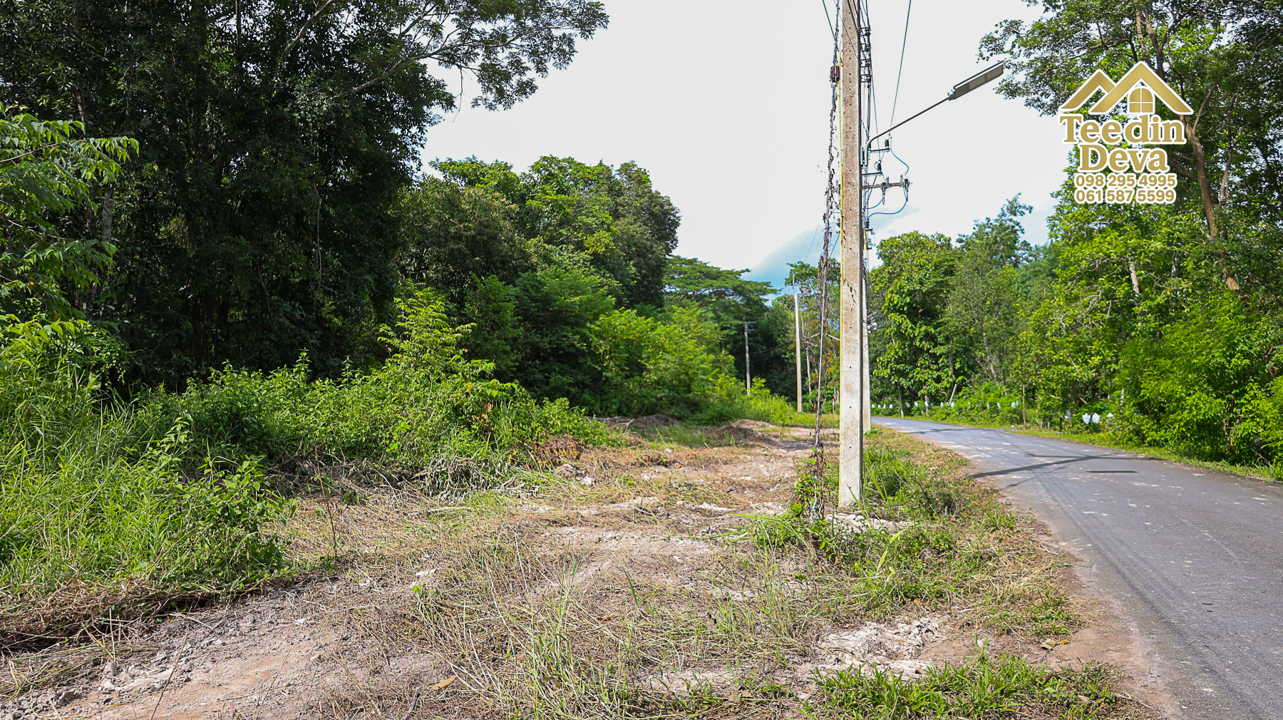 🏞️ “ผืนธรรมชาติกลางหุบเขา” 12 ไร่ 2 งาน 93.3 ตร.วา – ต.สาริกา อ.เมือง จ.นครนายก 🌳