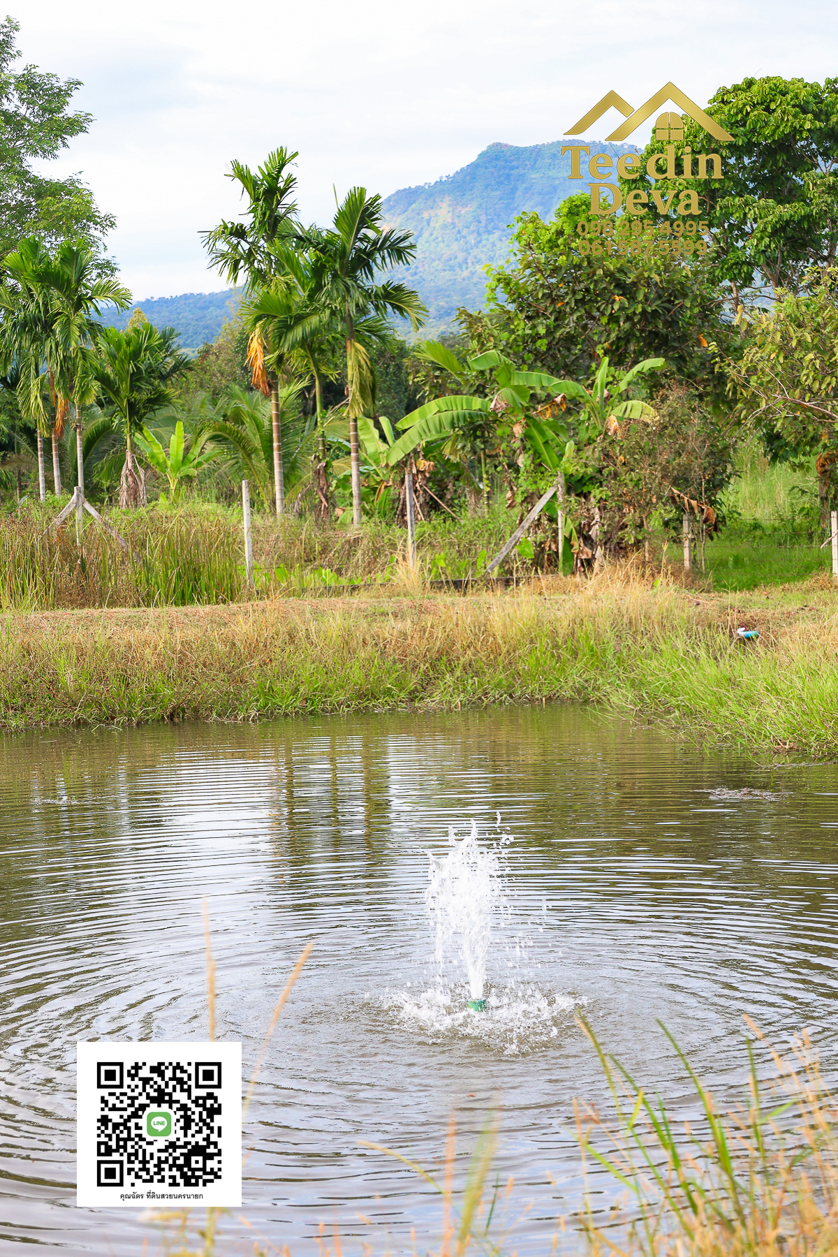 💭 ตื่นเช้าลมเย็น เห็นเขาใหญ่ตรงหน้า... ที่ดินสวนผลไม้ 2 ไร่ 3 งาน ต.นาหินลาด อ.ปากพลี จ.นครนายก