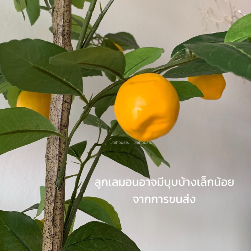 [พร้อมส่ง] Jnihouse : ต้นเลมอนประดิษฐ์ แถมตะกร้าสาน (Artificial Lemon Tree)