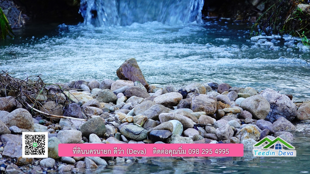 (ðī āļāļīāļāļāļēāļĢāļāļēāļĒ) āļāļĩāđāļāļīāļāļāļāļĢāļāļēāļĒāļ āļāļīāļāļĨāļģāļāļēāļĢ āļāļĨāļđāļāļāļĨāđāļĄāđ 8 āđāļĢāđ 2 āļāļēāļ āļ.āļŠāļēāļĢāļīāļāļē āļ.āđāļĄāļ·āļāļ āļ.āļāļāļĢāļāļēāļĒāļ