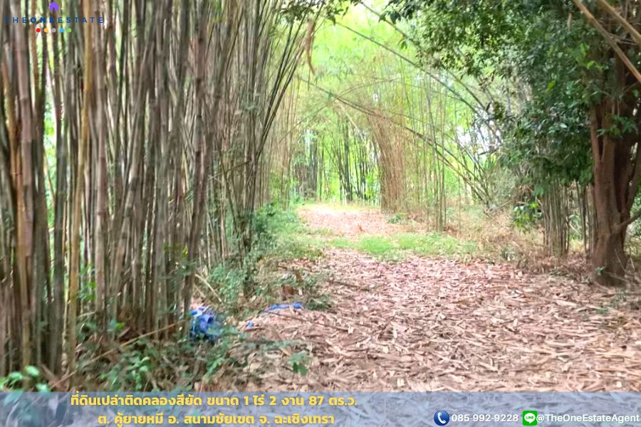 📣 ที่ดินติดคลองสียัด 1 ไร่ 2 งาน 87 ตร.ม. บรรยากาศร่มรื่น ซ.เทศบาล 21 ต.คู้ยายหมี อ.สนามชัยเขต จ.ฉะเชิงเทรา The Best ! | โทร. 085-992-9228