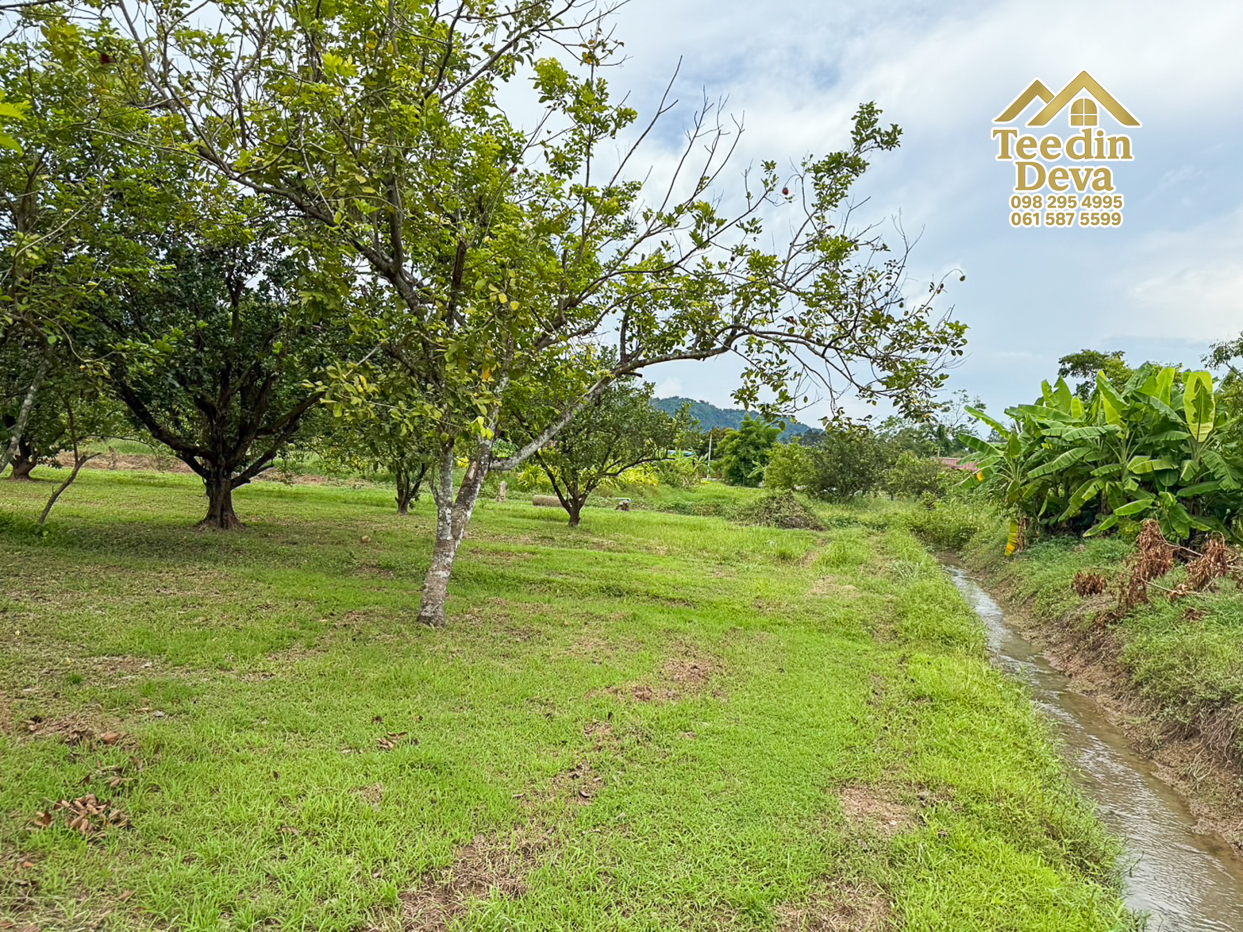 🌿 สวนผลไม้ในฝัน ใกล้เขื่อนขุนด่านปราการชล — 1 ไร่ 12 ตรว. ต.หินตั้ง อ.เมือง จ.นครนายก 🌿