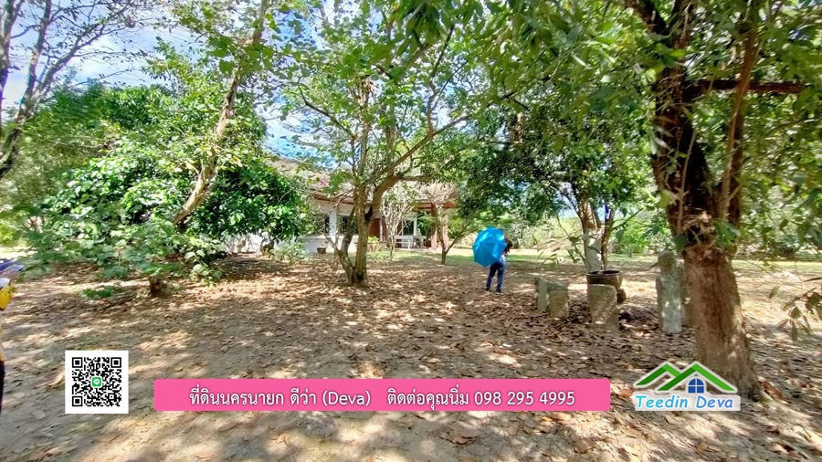 บ้านสวนผลไม้ ใกล้กับแหล่งท่องเที่ยว เจ้าของปลูกมะยงชิด ส้มโอ ต้นกฤษณา 20 ไร่ อยู่ติดถนนสายท่องเที่ยว สาริกา-นางรอง ต.สาริกา อ.เมือง จ.นครนายก