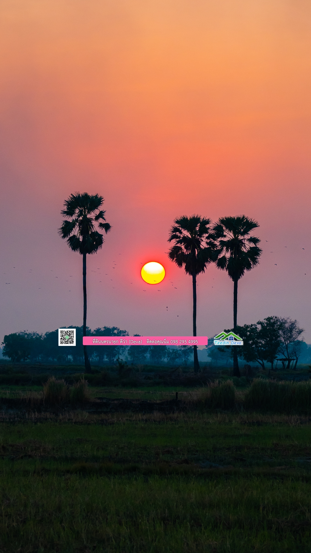🌿 ที่ดินสวยๆ ขนาด 2 ไร่ พร้อมน้ำไฟ ดินดี น้ำดี อากาศดี มีเพื่อนบ้าน ณ ต.ปากพลี อ.ปากพลี จ.นครนายก