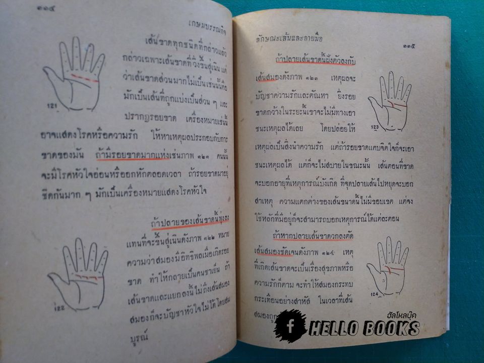 ลักษณะเส้นและลายมือ