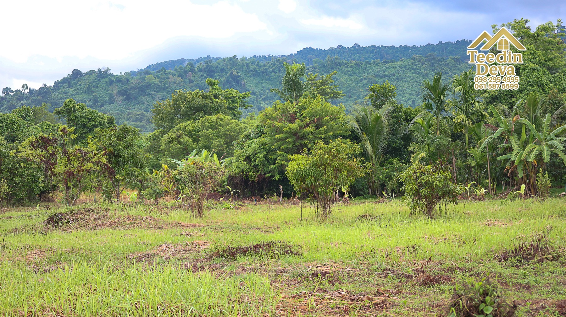 🌤 วิวภูเขาโอบล้อม ความสงบโอบใจ... ที่ดินสวนผลไม้ 120 ตร.ว. ต.หินตั้ง อ.เมือง จ.นครนายก 💛