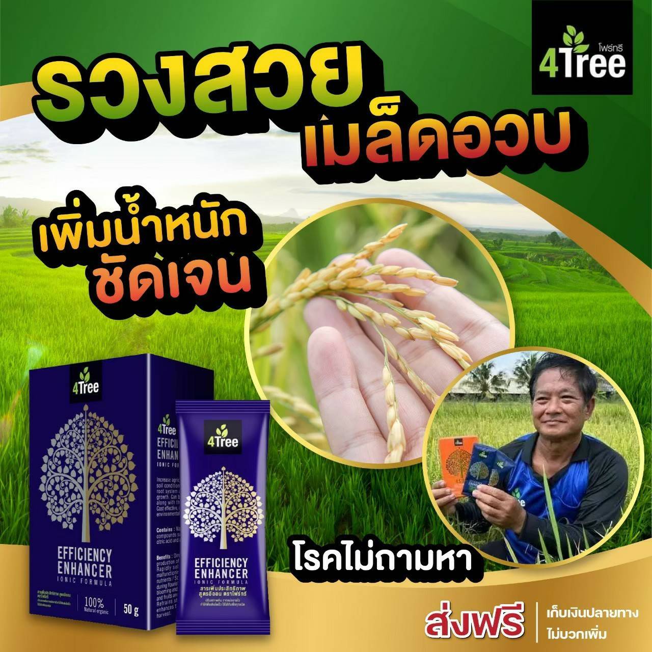 4tree โฟร์ทรี สารเสริมประสิทธิภาพพืช 1 กล่อง ราคาพิเศษ
