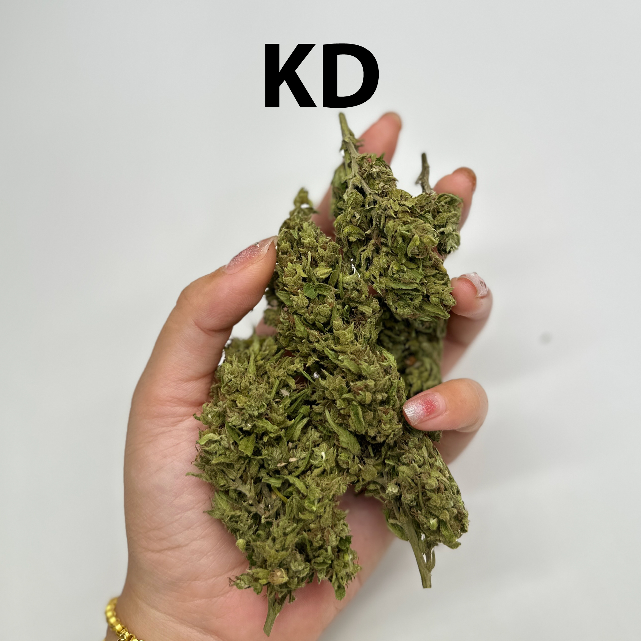 KD