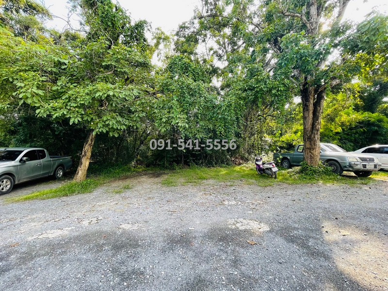 ขายที่ดิน แปลงรูปสีเหลี่ยมผืนผ้า 1-0-21 ไร่ บางหลวง เมืองปทุมธานี ผังเมืองสีชมพู ตั้งอยู่บนแหล่งชุมชนการเดินทางสะดวก