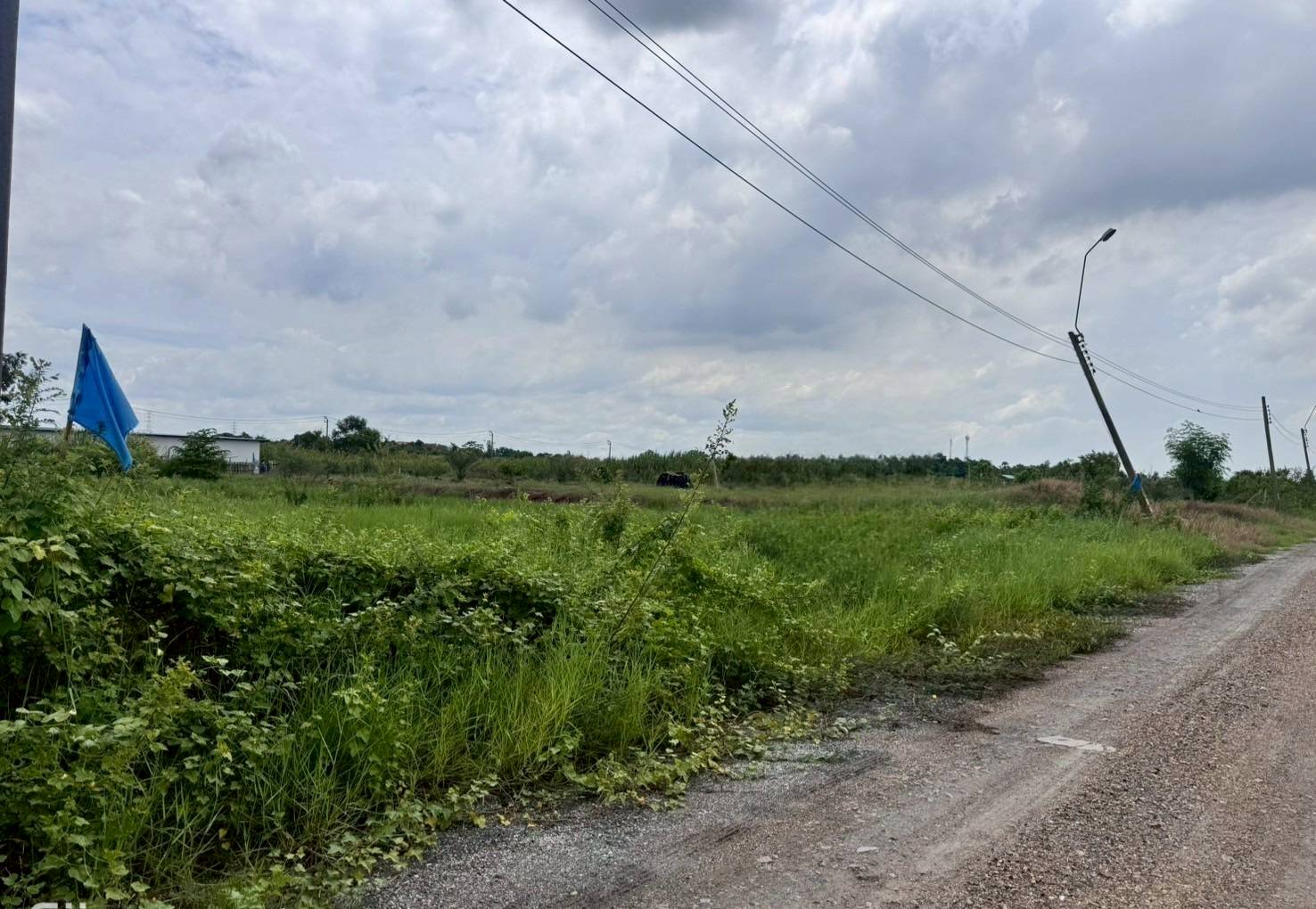 ขายที่ดินสวย ฉลองกรุงการ์เด้น ซอยวัดอู่ตะเภา ตรงข้าม FBT ฉลองกรุง (N.1754)