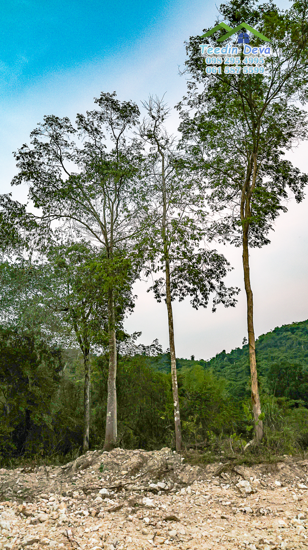 (ปิดการขาย) ที่ดินนครนายก ติดภูเขา ลำธารธรรมชาติไหลผ่านแปลง เนื้อที่ 10 ไร่ 1 งาน ต. สาริกา อ. เมือง จ.นครนายก