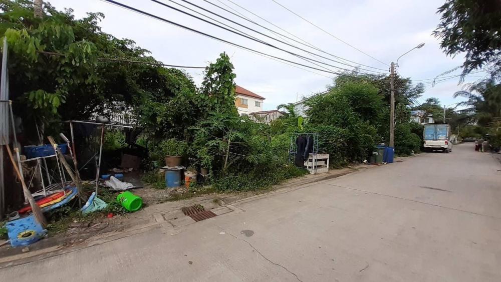 ขายที่ดินอ่อนนุช 17 สวยมากหน้ากว้าง 201 ตารางวา (N.613)