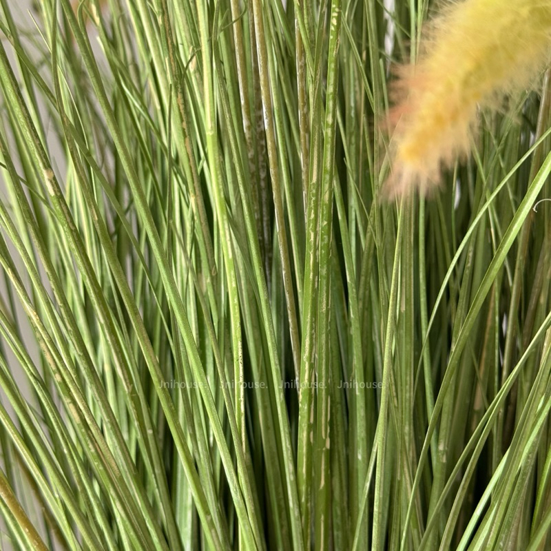 [พร้อมส่ง] Jnihouse : ต้นหญ้าประดิษฐ์ (Artificial Grass Potted)(Tree)