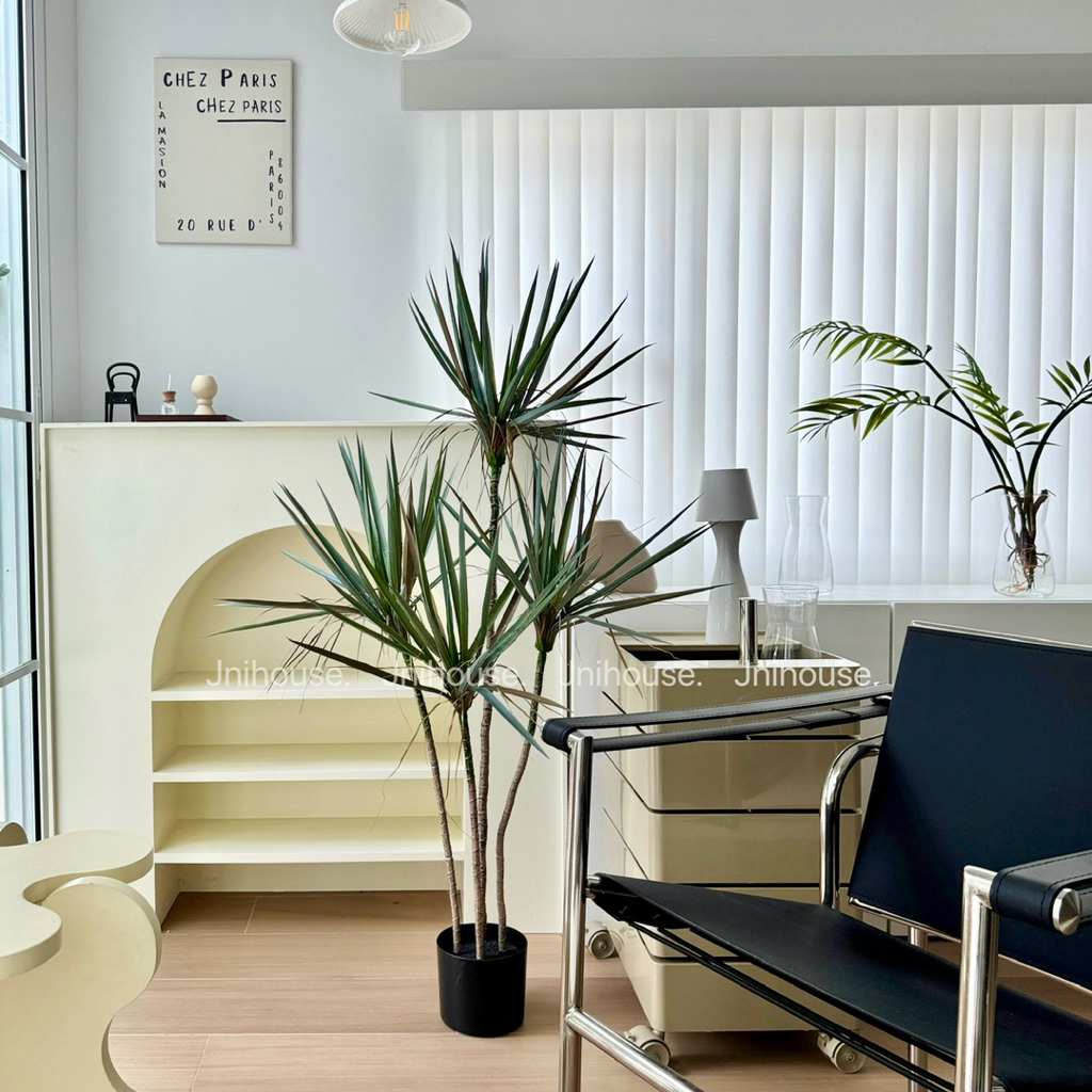 [พร้อมส่ง] Jnihouse : Dragon Tree ต้นไม้ประดิษฐ์ ขนาดสูง 130 cm (Tree)