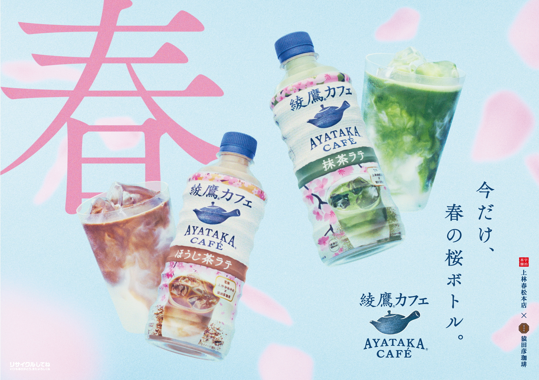 ชาเขียวนม Ayataka Matcha latte 440 ml ขวด Sakura !!Limited Edition!!