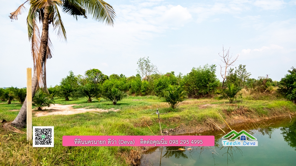 ขายที่ดิน สวนปาล์ม แปลงสวย ทำเลดี เนื้อที่ 11-3-8 ไร่ ให้ผลผลิตแล้ว อ.ปากพลี จ.นครนายก