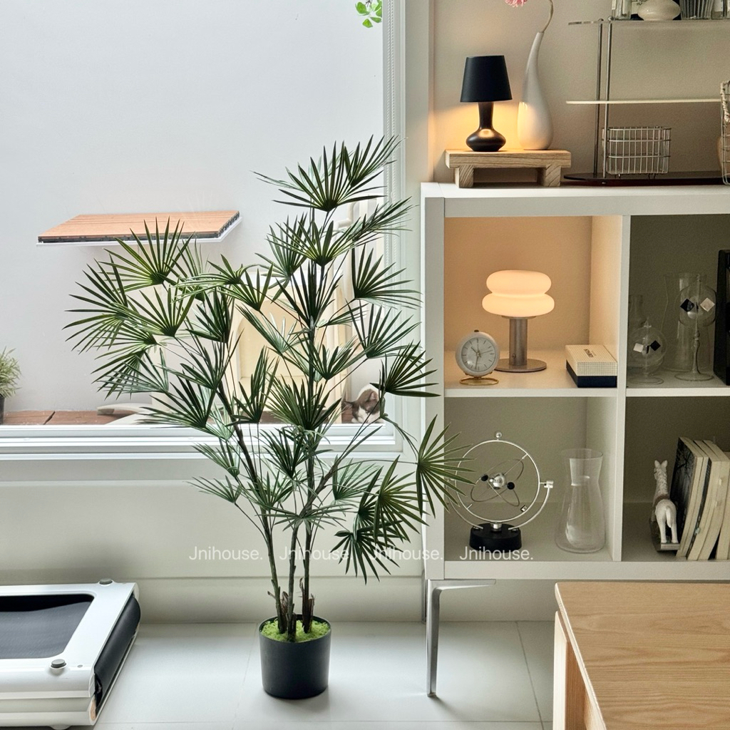 [พร้อมส่ง] Jnihouse : ต้นจั๋งประดิษฐ์ (Lady palm tree)