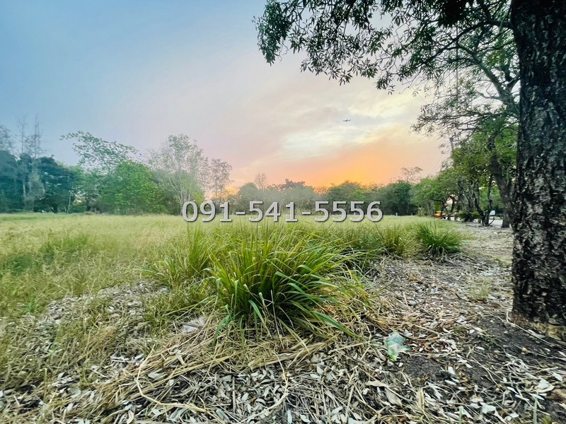 ขายที่ดิน 2 แปลง รูปสีเหลี่ยมคางหมู สนามกอล์ฟวินเซอร์ปาร์ค รวม 2 ไร่ ริมถนนเอกใกล้คลับเฮ้าส์