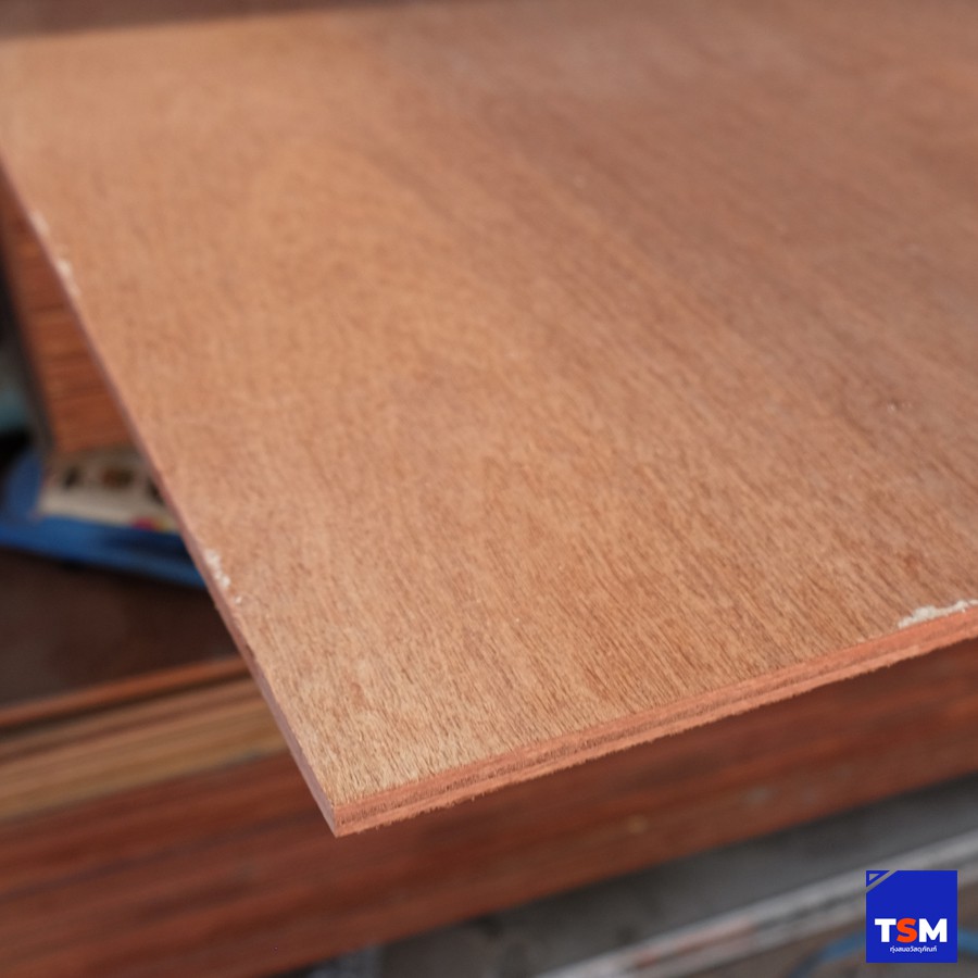 Plywood (ไม้อัด)
