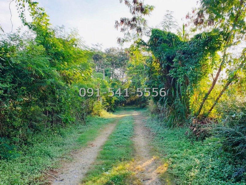 ขายที่ดิน 99 ตรว รามอินทรา 47 แยก 6 พื้นที่สีเหลือง การเดินทางสะดวก ใกล้รถไฟฟ้าสายสีชมพู เหมาะกับการสร้างเป็นที่อยู่อาศัย