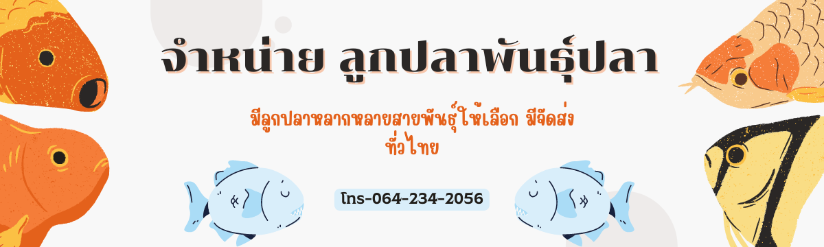 จำหน่ายลูกปลาพันธุ์ปลา