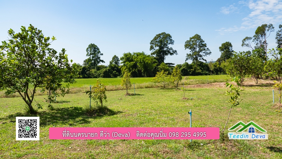 (ติดจอง) ที่ดินนครนายก บ้านสวน พร้อมที่ดิน ขนาด 1 ไร่ 1 งาน วิวภูเขาสวย อยู่ใกล้เขื่อนขุนด่านปราการชล