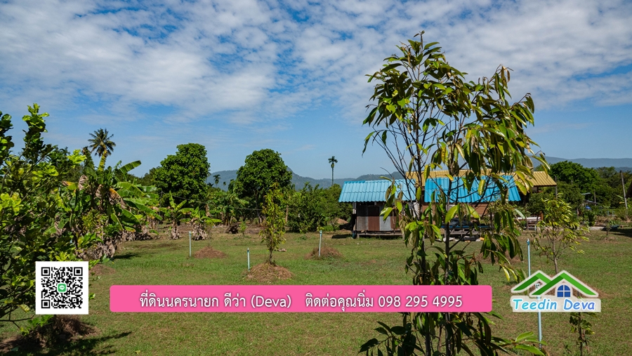 (ติดจอง) ที่ดินนครนายก บ้านสวน พร้อมที่ดิน ขนาด 1 ไร่ 1 งาน วิวภูเขาสวย อยู่ใกล้เขื่อนขุนด่านปราการชล