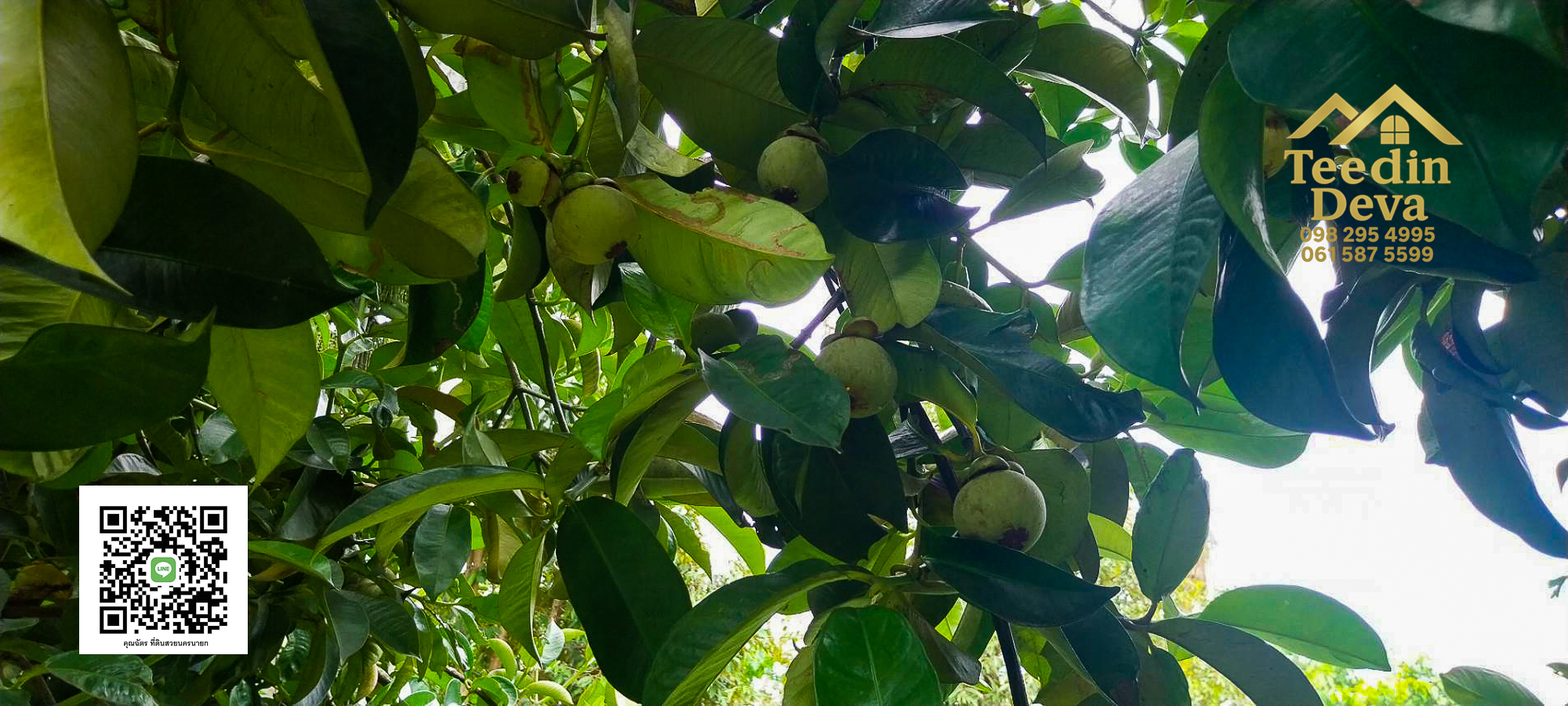 🌿 บ้านสวนในฝัน พร้อมอยู่ ใกล้เขื่อนขุนด่าน เนื้อที่ 1 ไร่ ต.สาริกา อ.เมือง จ.นครนายก 🏡