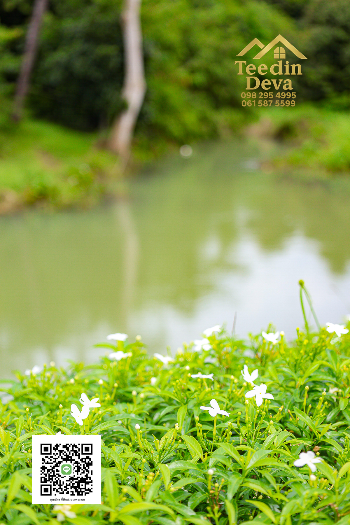 🏞️ สัมผัสเสียงน้ำไหล เคียงข้างขุนเขา — ที่ดิน 1 ไร่ ต.นาหินลาด อ.ปากพลี จ.นครนายก 🌿