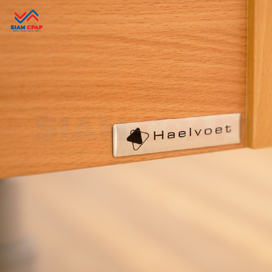 เตียงผู้ป่วยสูงอายุไฟฟ้า ดีไซน์แบบไม้ 7 ฟังก์ชั่น ยี่ห้อ HAELVOET รุ่น Lago Care