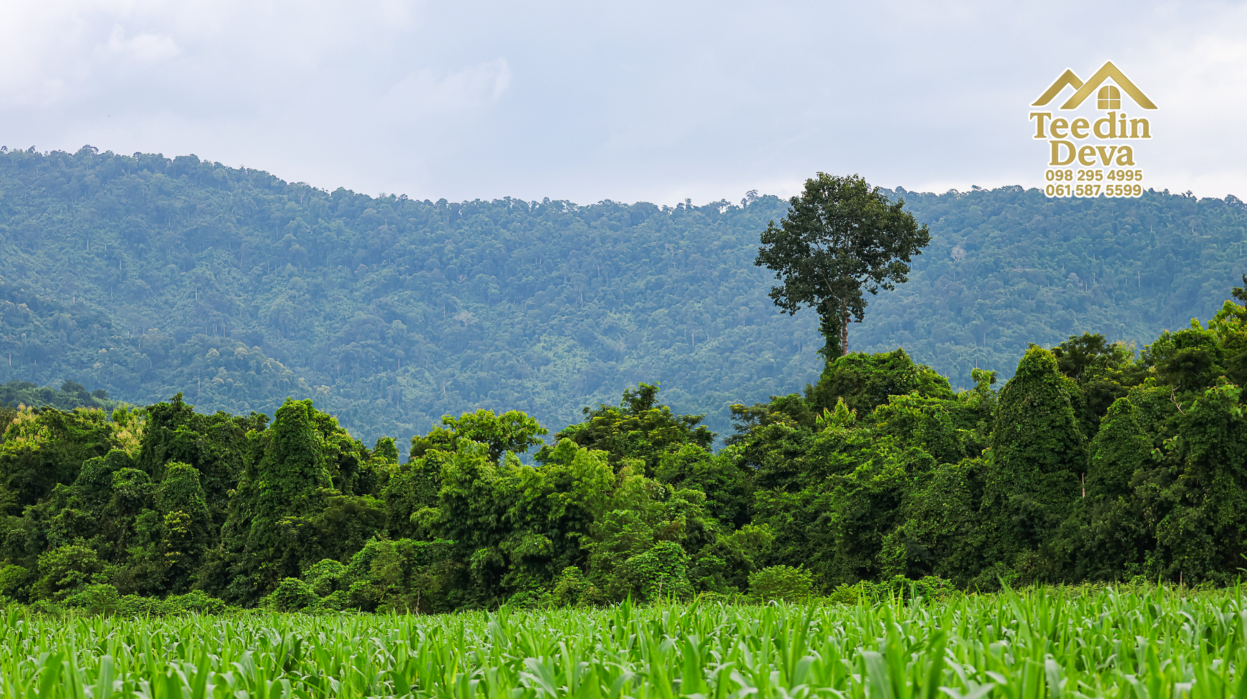 🌿 “ที่ดินในฝัน...ริมสายน้ำ ใต้เงาภูเขา” 2 ไร่ 3 งาน 84 ตรว. ต.เขาพระ อ.เมือง จ.นครนายก 🏞️