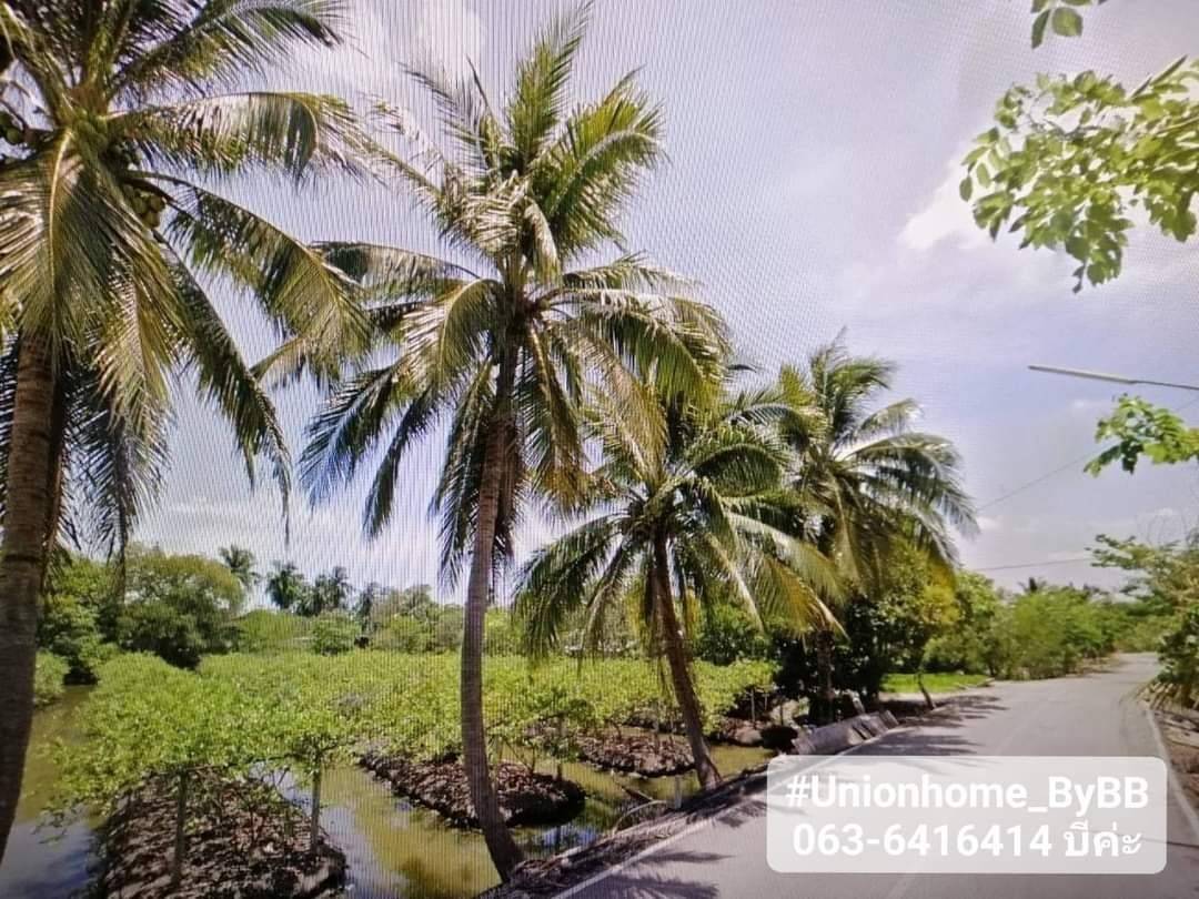 ขายด่วนที่ดินสวนผสมราคาถูก3,200 /วา อ.สามพราน จ.นครปฐม (N.530)