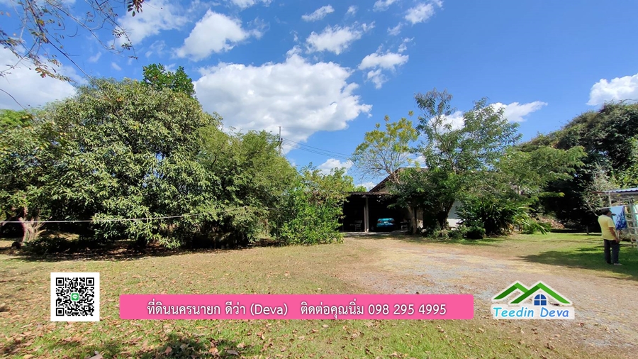 บ้านสวนผลไม้ ใกล้กับแหล่งท่องเที่ยว เจ้าของปลูกมะยงชิด ส้มโอ ต้นกฤษณา 20 ไร่ อยู่ติดถนนสายท่องเที่ยว สาริกา-นางรอง ต.สาริกา อ.เมือง จ.นครนายก