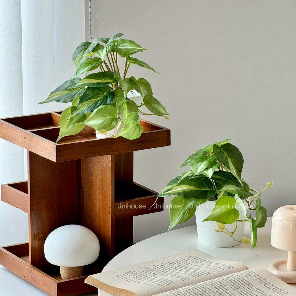 [พร้อมส่ง] Jnihouse : ต้นพลูด่างประดิษฐ์+กระถางพลาสติกขาว