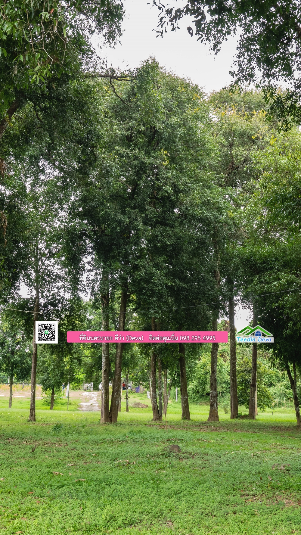 ที่ดินนครนายก ติดแม่น้ำ 14 ไร่ พื้นที่ติดแม่น้ำ 400 เมตร ชมลำธารสวยๆ บรรยากาศสบายๆ ต.สาริกา อ.เมือง จ.นครนายก