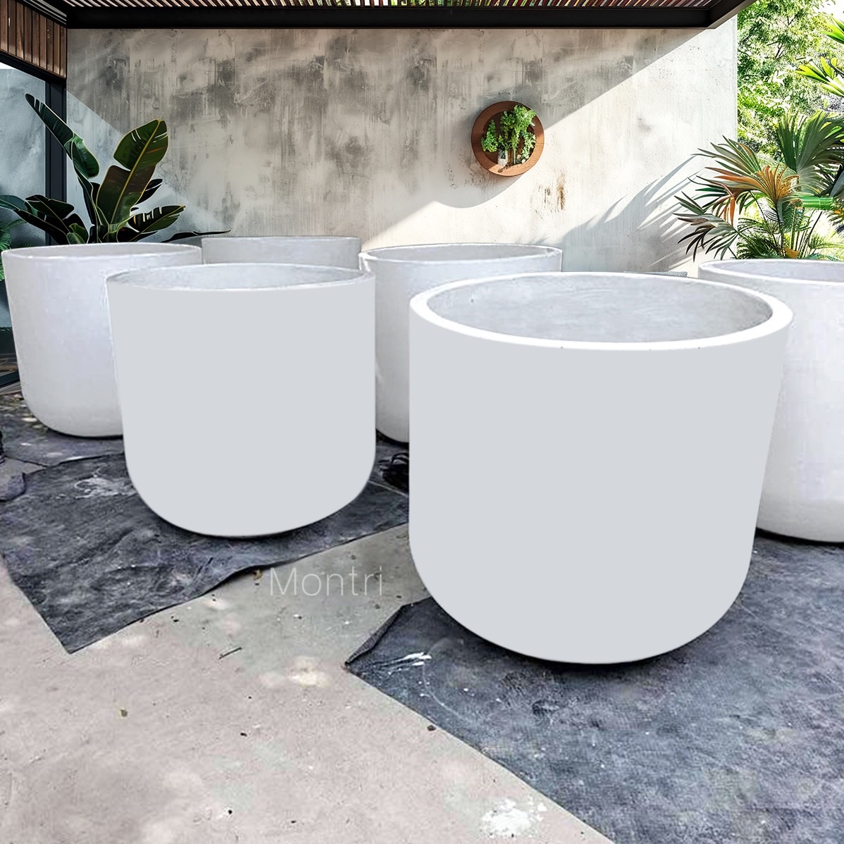 กระถางปูนใหญ่ กระถางมินิมอล พิเศษขนาดใหญ่พิเศษ 80x80 cm หายากในท้องตลาด ตอบโจทย์สำหรับต้นไม้ใหญ่และรากลึก