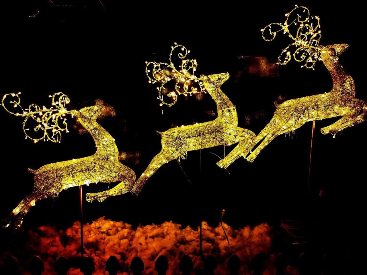 กวางเรนเดียร์ คริสต์มาสสีทอง ขนาดใหญ่ สูง 1.8เมตร สีทอง พร้อมไฟประดับ
