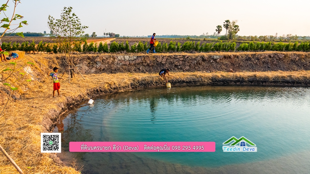 🌿 ที่ดินสวยๆ ขนาด 2 ไร่ พร้อมน้ำไฟ ดินดี น้ำดี อากาศดี มีเพื่อนบ้าน ณ ต.ปากพลี อ.ปากพลี จ.นครนายก