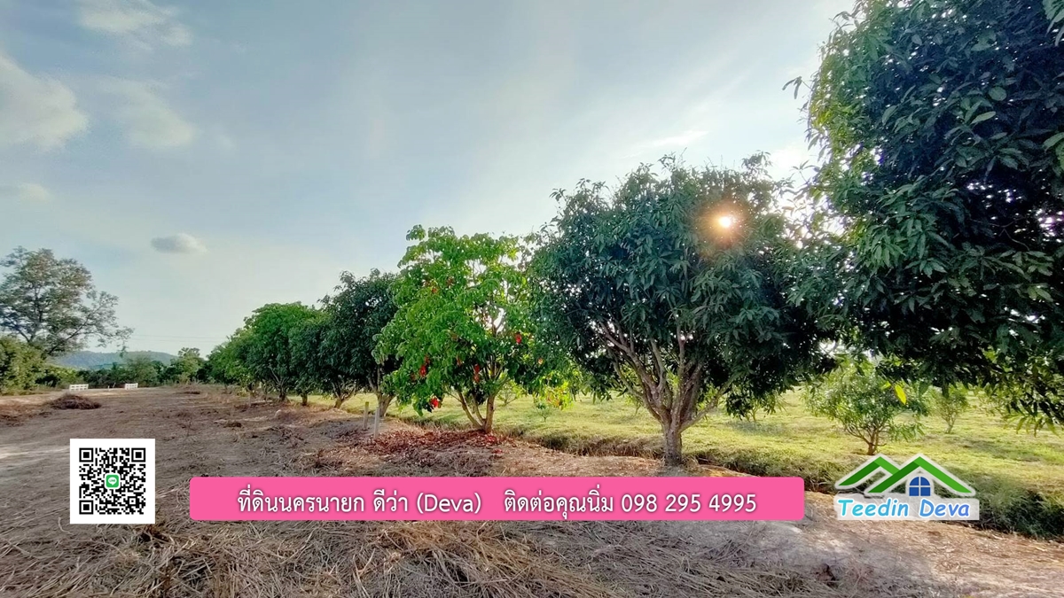 ที่ดินวิวภูเขา แปลงสวย เนื้อที่ 1 ไร่ 3 งาน ด้านหน้าวิวภูเขา ด้านหลังเป็นสวนผลไม้ ต.เขาเพิ่ม อ.บ้านนา จ.นครนายก