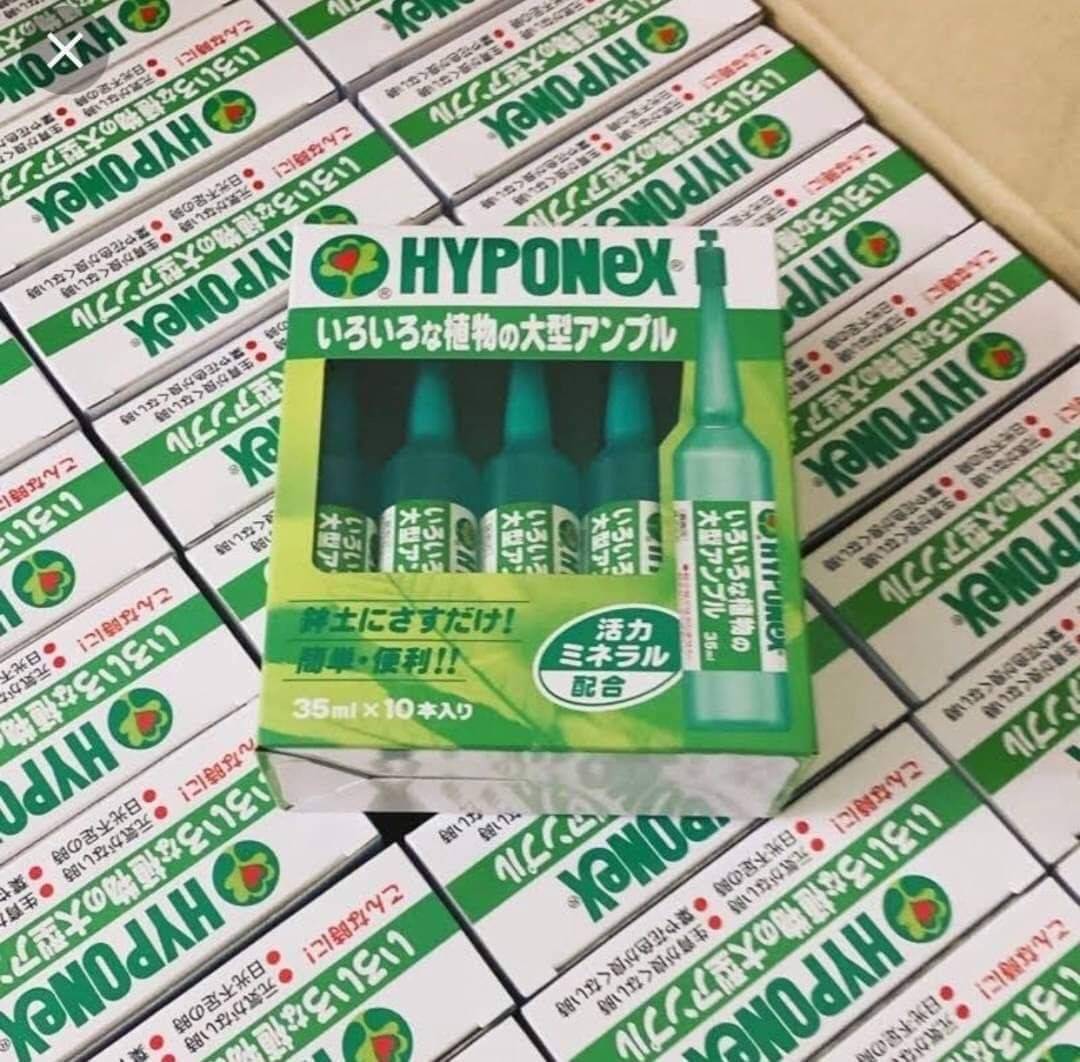 ปุ๋ย Hyponex ampoule สูตรสีเขียวเข้ม🌼
