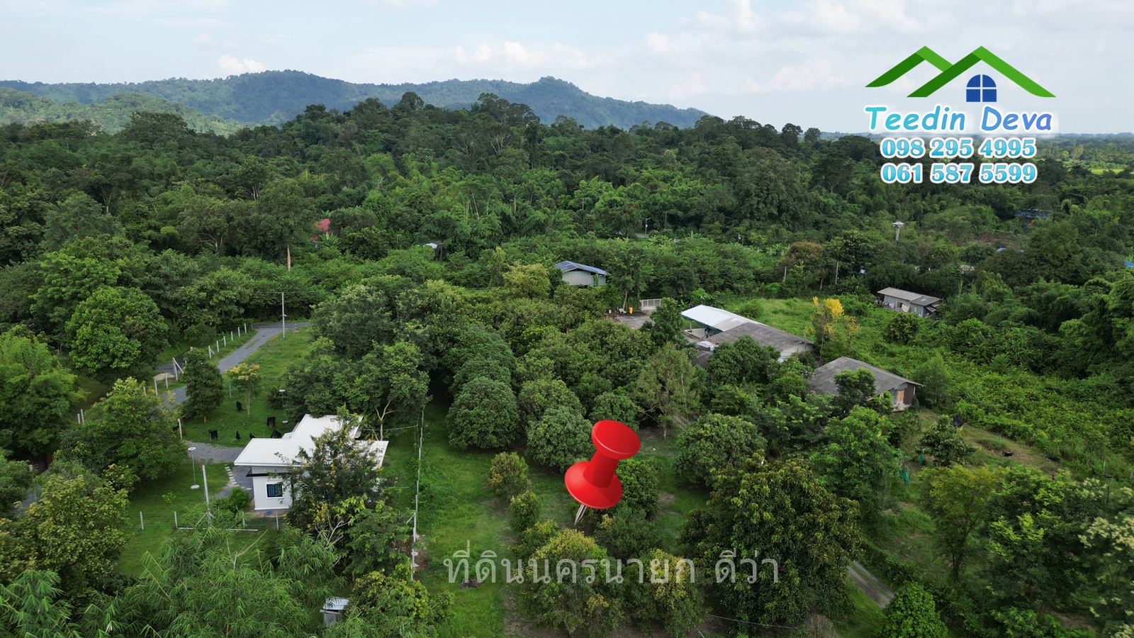 🌳🍊 ที่ดินนครนายก สวนผลไม้ เนื้อที่ 2 ไร่ ในทำเลติดกับภูเขา วิวสวยงาม ผลไม้เก็บผลผลิตได้แล้ว