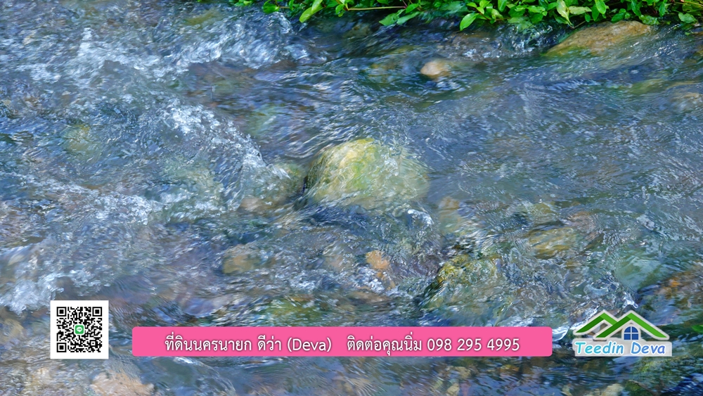 (ðī āļāļīāļāļāļēāļĢāļāļēāļĒ) āļāļĩāđāļāļīāļāļāļāļĢāļāļēāļĒāļ āļāļīāļāļĨāļģāļāļēāļĢ āļāļĨāļđāļāļāļĨāđāļĄāđ 8 āđāļĢāđ 2 āļāļēāļ āļ.āļŠāļēāļĢāļīāļāļē āļ.āđāļĄāļ·āļāļ āļ.āļāļāļĢāļāļēāļĒāļ