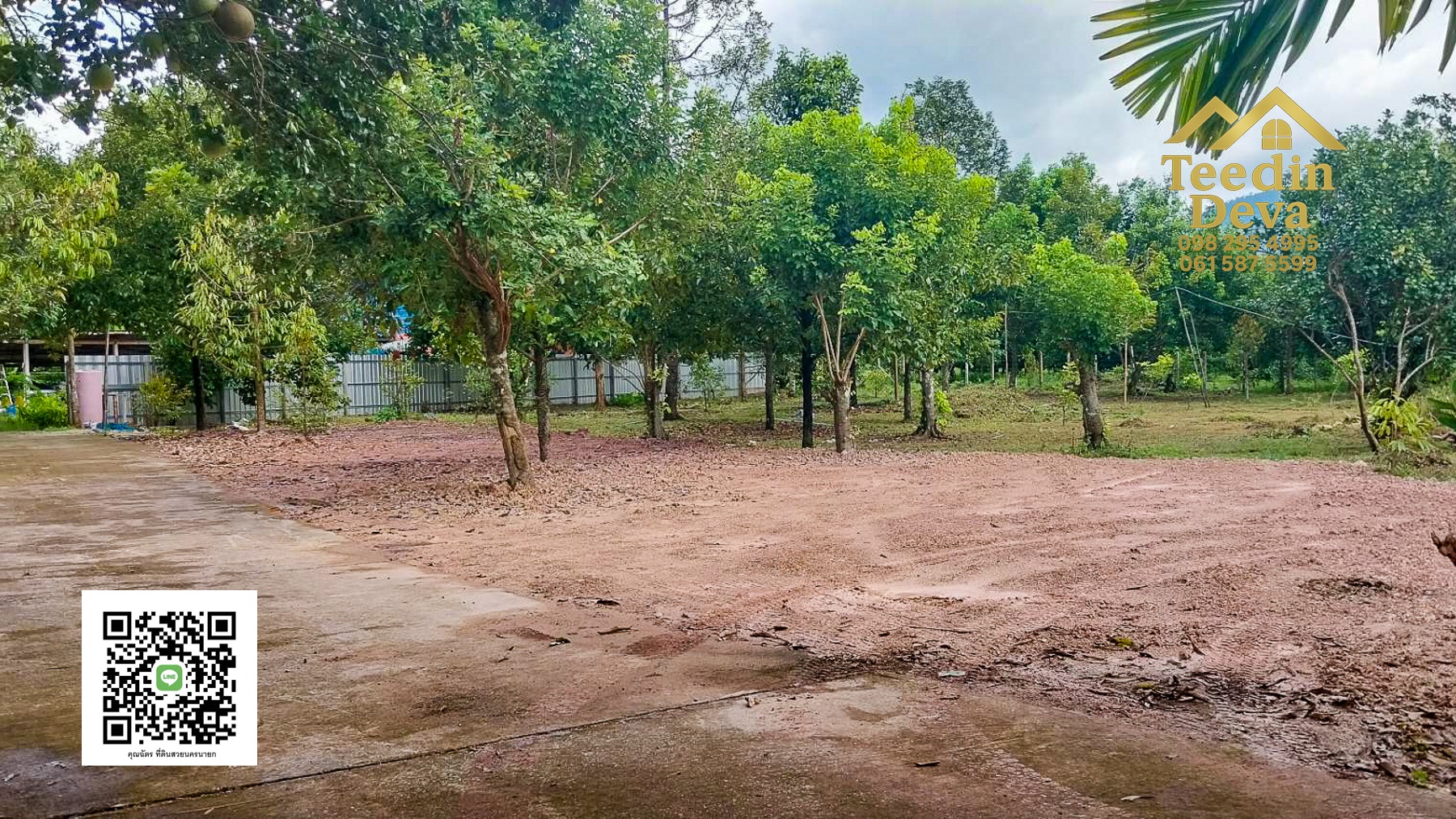 ที่ดินนครนายก สวนผลไม้ ทุเรียน มังคุด พร้อมเก็บเกี่ยว ขนาด 1 ไร่ ต.หินตั้ง อ.เมือง จ.นครนายก