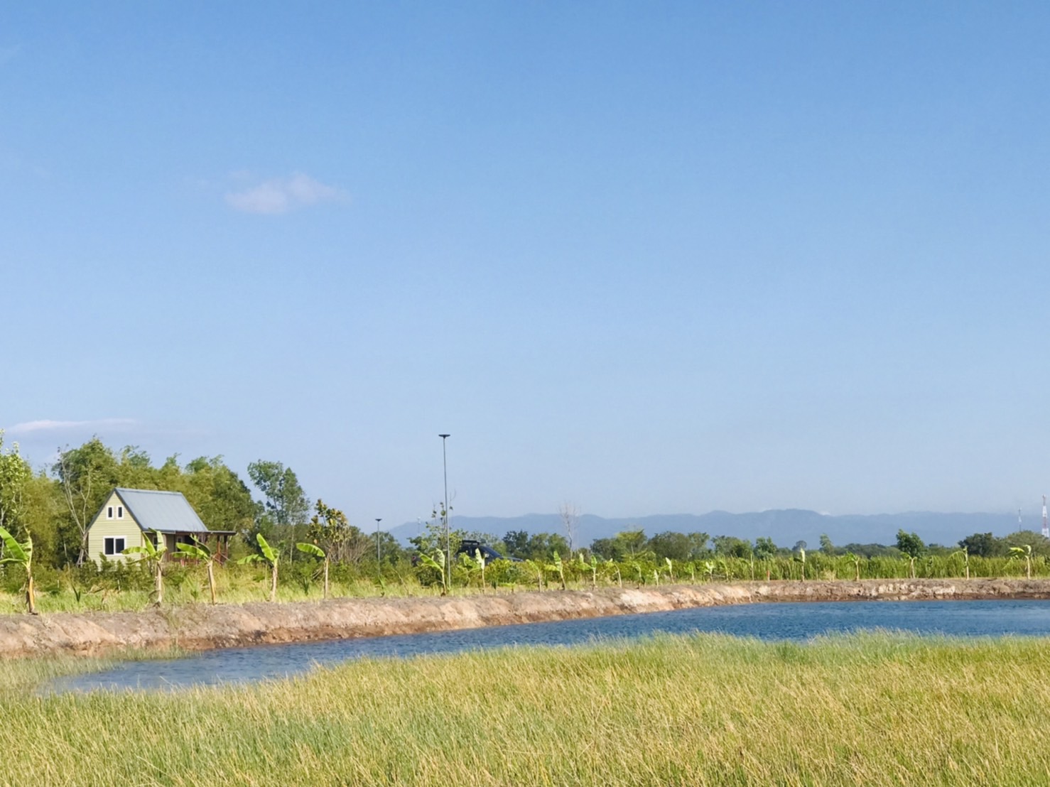 🍃 ความสุขแบบพอเพียง... เริ่มได้ที่นี่ ที่ดิน 2 ไร่ เหมาะทำสวนเกษตร อ.ปากพลี จ.นครนายก