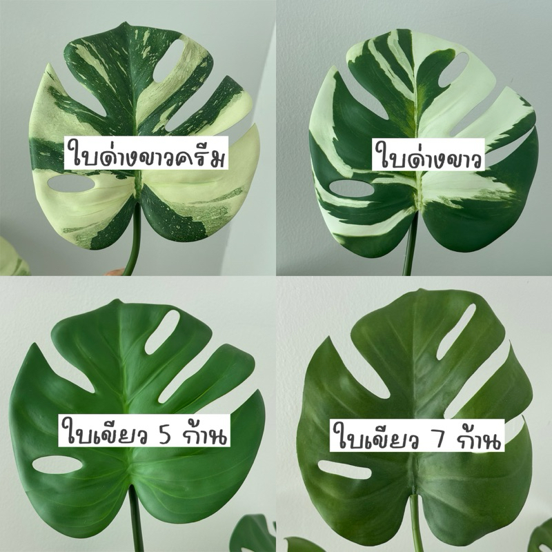 [พร้อมส่ง] Jnihouse : ต้นมอนสเตร่าประดิษฐ์กระถางขาว (Monstera Plant)(Tree)