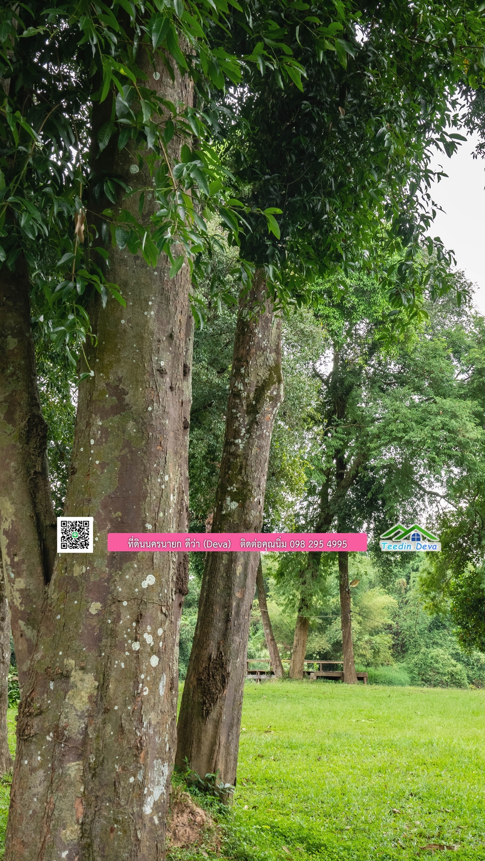 ที่ดินนครนายก ติดแม่น้ำ 14 ไร่ พื้นที่ติดแม่น้ำ 400 เมตร ชมลำธารสวยๆ บรรยากาศสบายๆ ต.สาริกา อ.เมือง จ.นครนายก