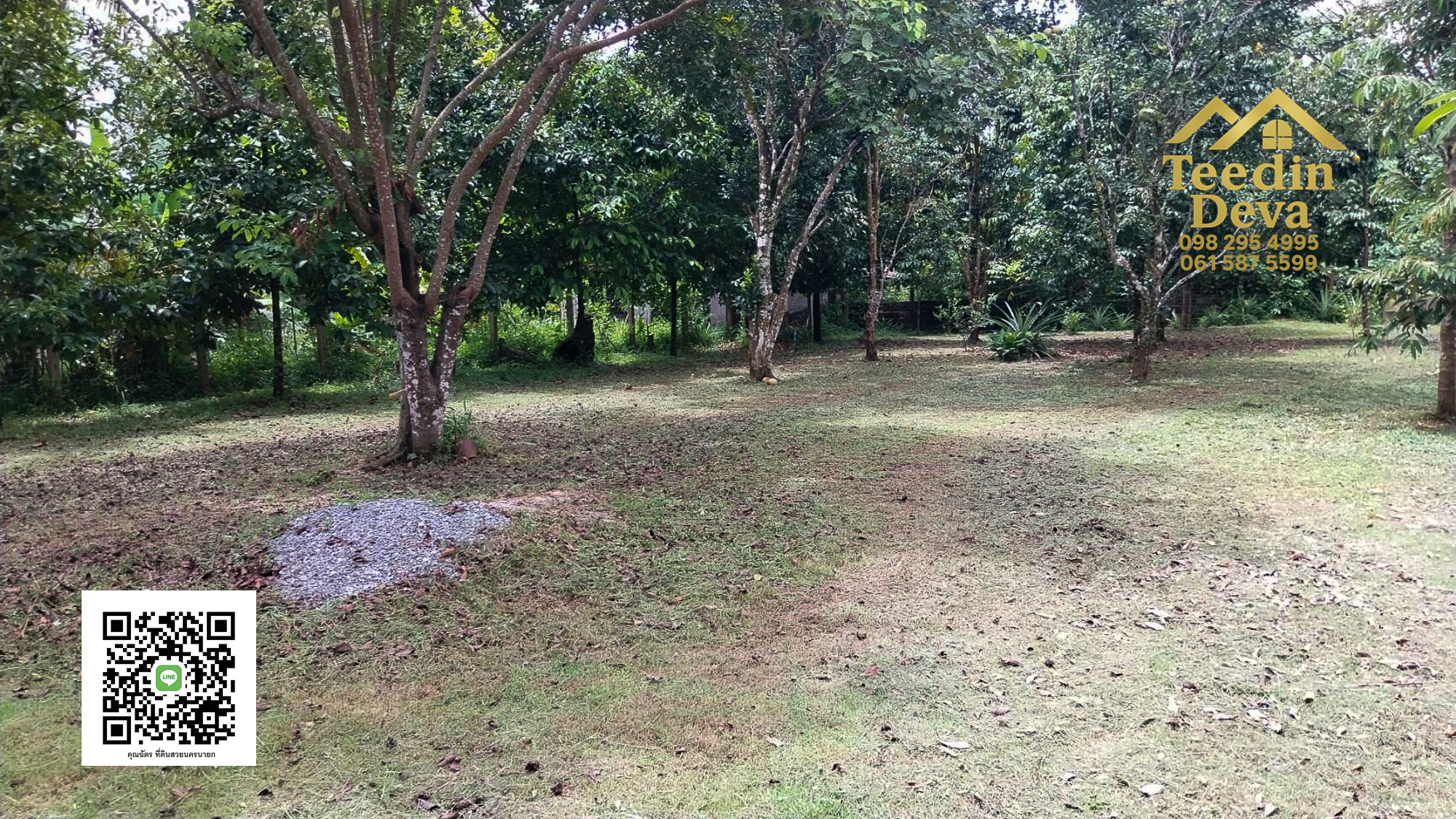 🌿 บ้านสวนในฝัน พร้อมอยู่ ใกล้เขื่อนขุนด่าน เนื้อที่ 1 ไร่ ต.สาริกา อ.เมือง จ.นครนายก 🏡